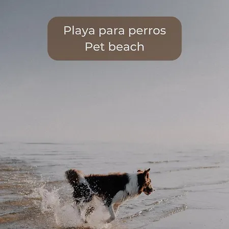 El Palmito En Centro, Terraza Privada, Cocina Completa Y Wifi Lägenhet *