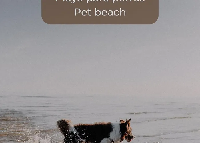 El Palmito En Centro, Terraza Privada, Cocina Completa Y Wifi アパート *